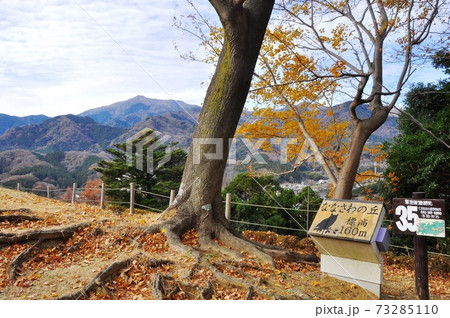 神奈川県立七沢森林公園 ななさわの丘の紅葉と大山 神奈川県立七沢森林公園 ななさわの丘の紅葉と大山 73285110