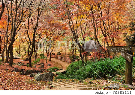神奈川県立七沢森林公園　せせらぎ広場の寸草亭と紅葉と道しるべ 73285111
