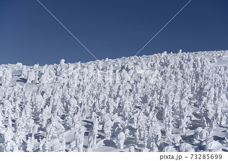 山形県蔵王地蔵峠付近のモンスターと快晴の風景 73285699