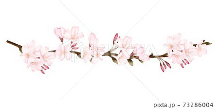 桜の花びらと木 水彩風イラストのイラスト素材