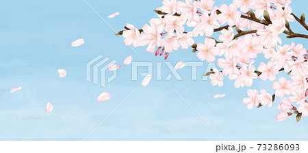 花びらが散る満開の桜 青空 水彩風イラストのイラスト素材
