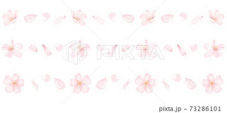 色々な桜の花びらのラインのセット 水彩風イラストのイラスト素材