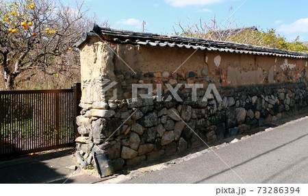 萩市土塀とミカン観光地散歩道の写真素材