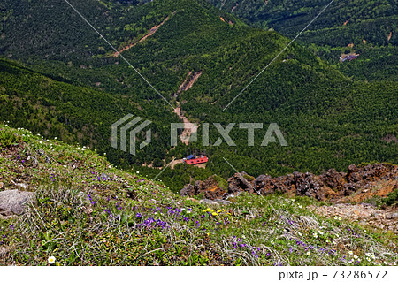 八ヶ岳連峰・赤岳稜線の高山植物と行者小屋・赤岳鉱泉 73286572