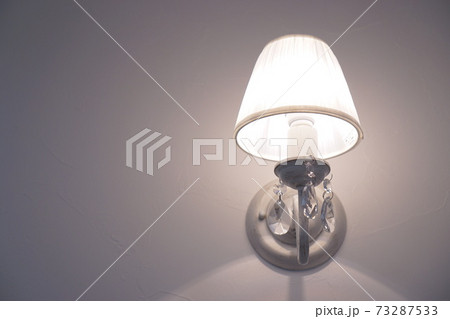 ライト ライト 73287533