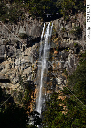 那智滝より 那智滝より 73288178