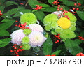 花の手水 73288790