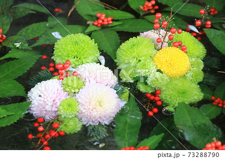 花の手水 73288790