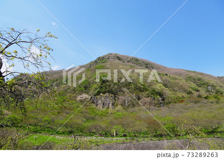 梅林とパワースポットの岩が在る幕山 幕山公園 神奈川県足柄下郡湯河原町 の写真素材