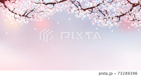 桜 風景 春 背景のイラスト素材