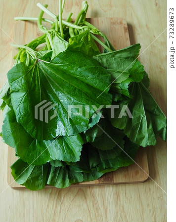 葉 成分 緑 73289673