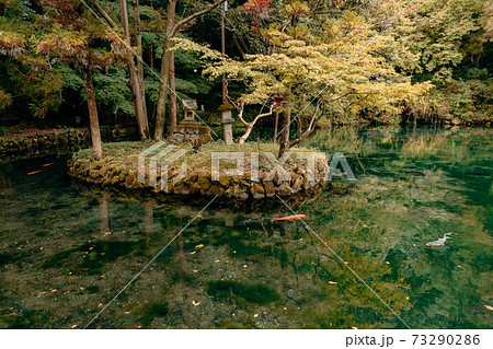出流原弁天池　栃木県 73290286