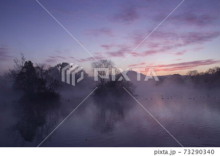 浮島周辺水辺公園の毛嵐 浮島周辺水辺公園の毛嵐 73290340