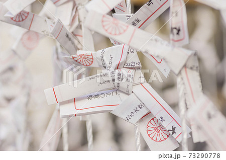 神社 おみくじ 結ぶ 御みくじ 大国魂神社 初詣の写真素材