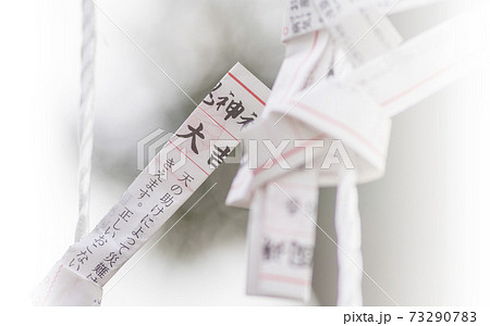 神社　おみくじ　結ぶ　御みくじ　大国魂神社　初詣 73290783