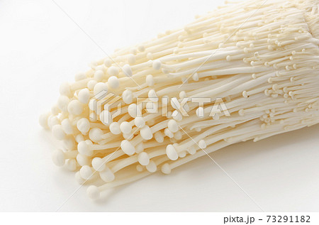 エノキ エノキ 73291182