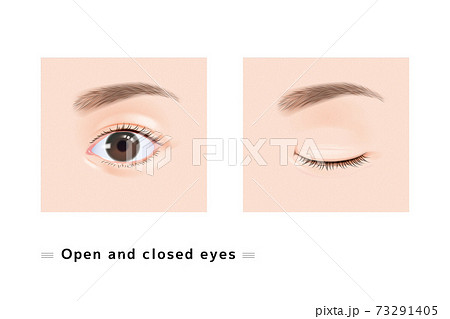 両目 まつげ 女性 顔 目 閉じた まぶた 眼科 症例 リアル イラストのイラスト素材