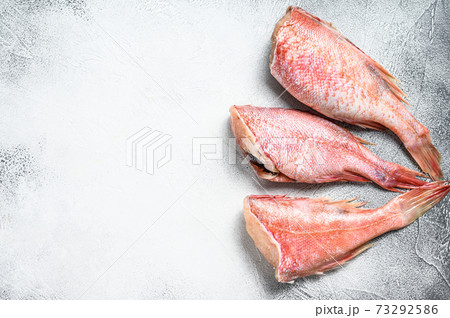 Raw Red perch or seabass fish. White background. Top view. Copy space Raw Red perch or seabass fish. White background. Top view. Copy space 73292586