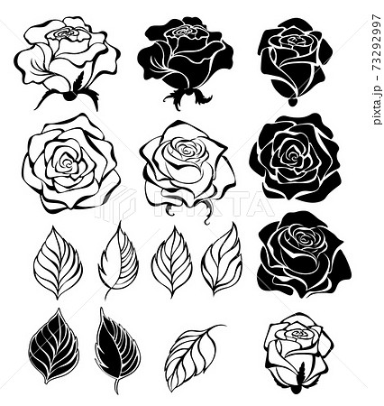 Contour rose buds and leaves.eps 73292997