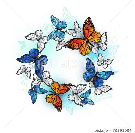 Round Frame With Monarchs And Morphoのイラスト素材