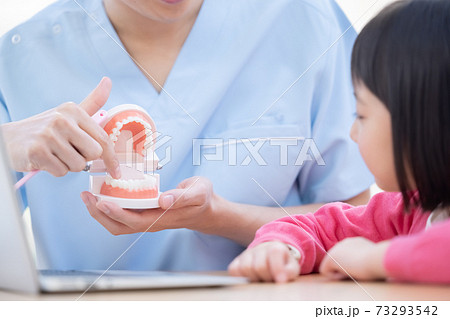 歯医者 歯磨き指導を受ける女の子と医師の手元の写真素材