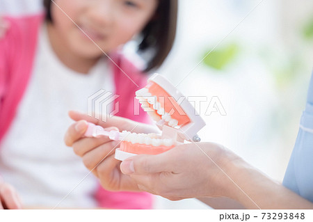 歯医者 歯磨き指導を受ける女の子と医師の手元 顔無し素材 の写真素材