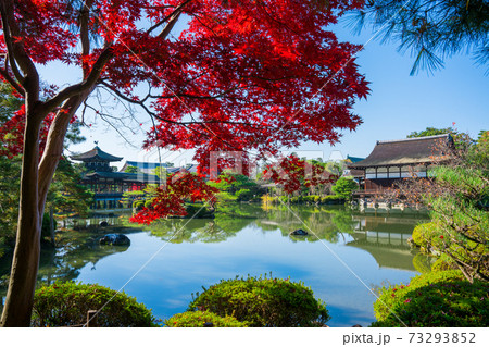 京都 平安神宮の紅葉 尚美館と泰平閣 京都 平安神宮の紅葉 尚美館と泰平閣 73293852