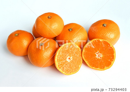 三ヶ日みかん 73294403