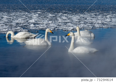 北海道　屈斜路湖の冬の風景 73294614
