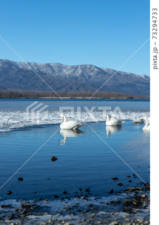 北海道　屈斜路湖の冬の風景 73294733