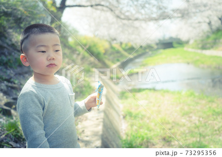 孫の男児保育園児を撮影 孫の男児保育園児を撮影 73295356