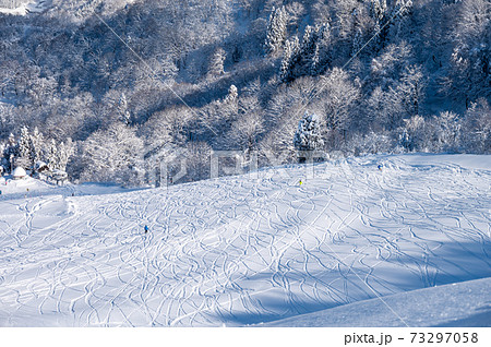 スキー場、ふかふか新雪パウダー スキー場、ふかふか新雪パウダー 73297058