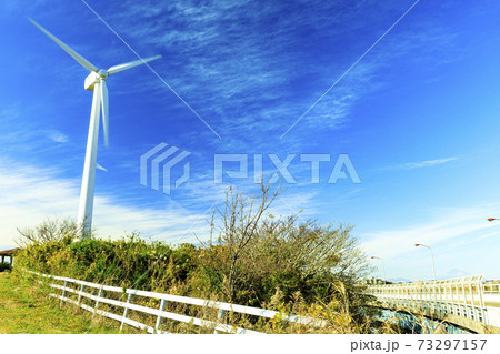 湘南三浦半島の名産大根畑の冬 湘南三浦半島の名産大根畑の冬 73297157