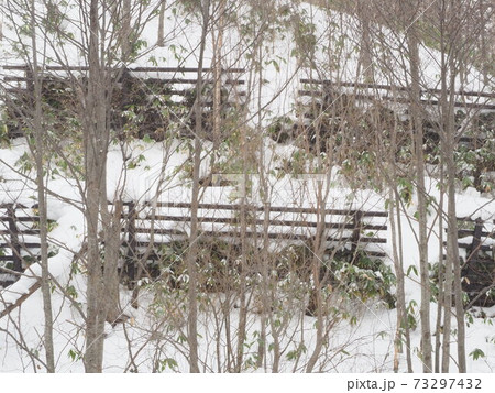 雪が積もる落石防護柵と山肌の樹木 雪が積もる落石防護柵と山肌の樹木 73297432