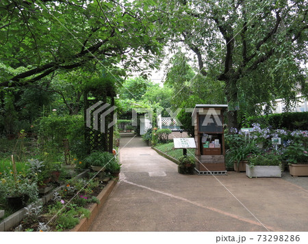 墨田区の緑と花の学習園 墨田区の緑と花の学習園 73298286