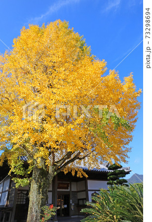 龍福寺の紅葉 73298694
