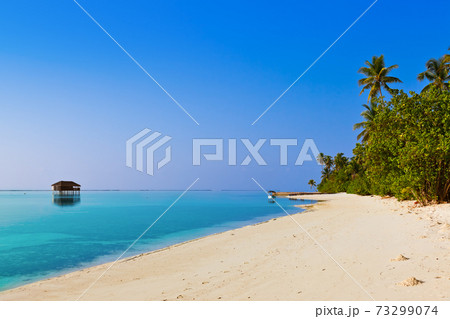 Tropical beach at Maldives 73299074