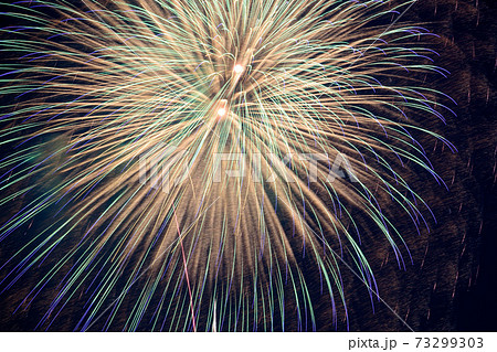 夜空を飾る大花火（戸田橋・いたばし花火大会） 73299303