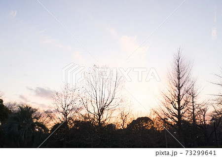 日暮れの景色 73299641