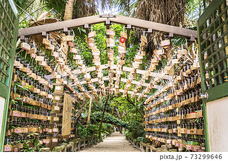 青島神社 73299646