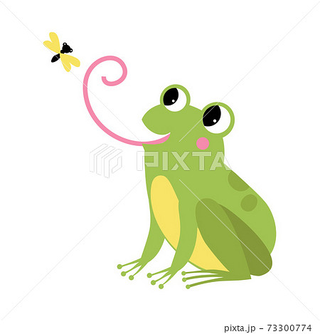 Green Frog with Protruding Eyes Catching Fly with Its Long Tongue Vector Illustration 73300774