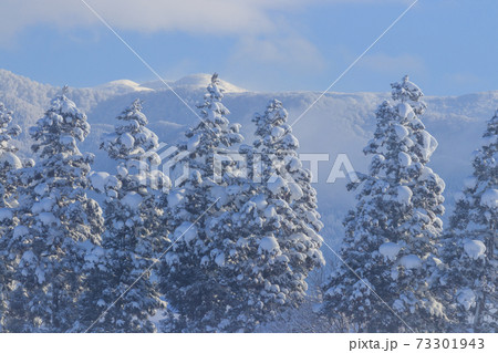 秋田県　冬の雪景色 73301943