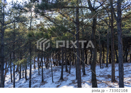 海 ビーチ スポット 73302108