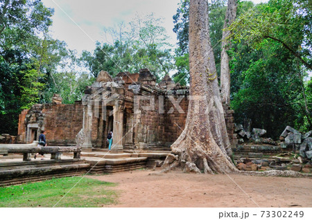 カンボジア　タ・プローム寺院 73302249