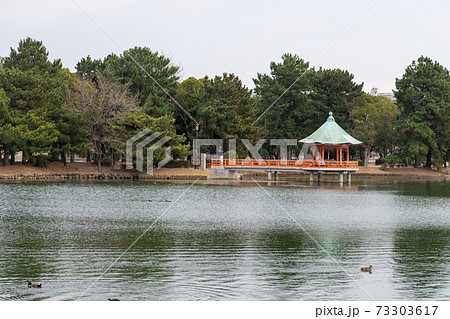 大濠公園の浮見堂　緑の屋根と朱の柱 73303617