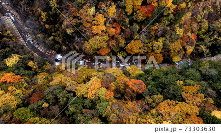 紅葉の空撮 73303630