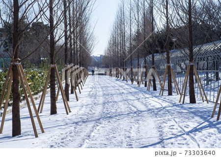 冬 雪景色 湖 73303640