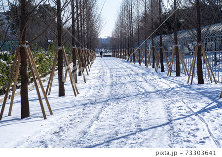 冬 雪景色 湖 73303641