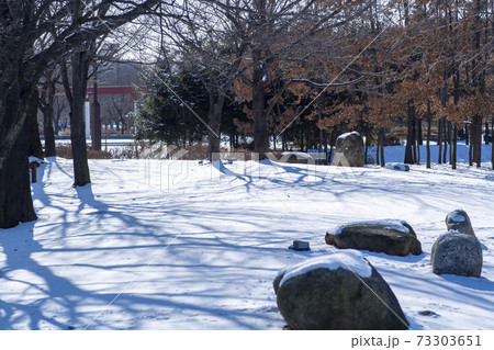 冬 雪景色 道路 73303651
