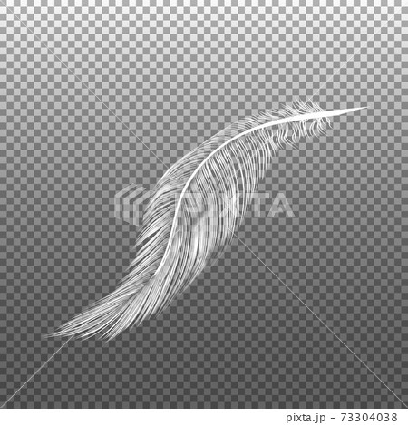 Falling feathers vector Falling feathers vector 73304038